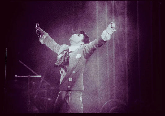 Prince – Purple God