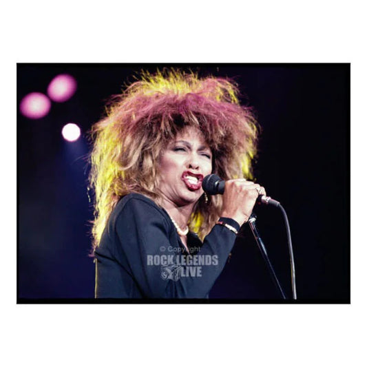 Tina Turner – No Rules