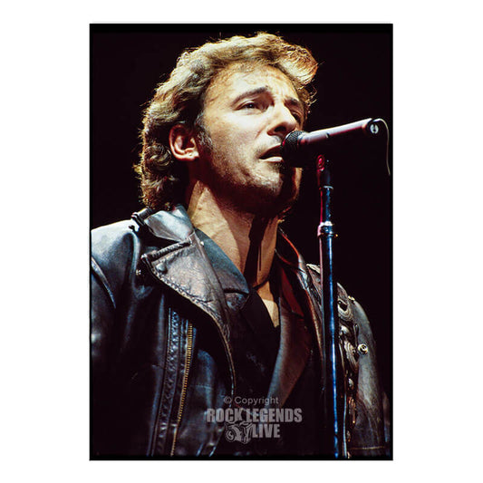 Bruce Springsteen - Hometown - Rock Light